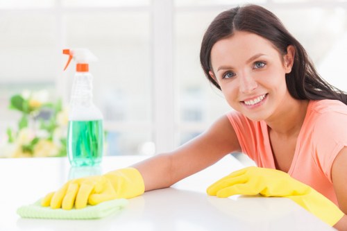 House cleaning service for SE11 flats and homes