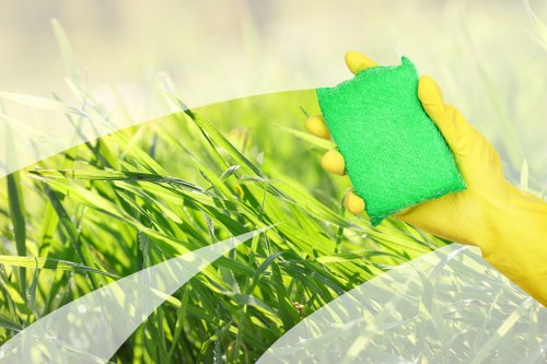 Professional carpet cleaning service for homes in SE11