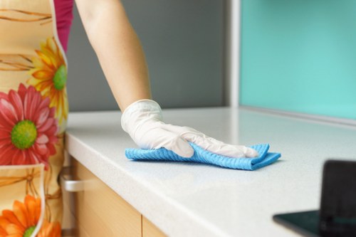 Local cleaners providing domestic cleaning in SE11 homes and flats
