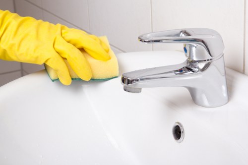 Visual cue for screen-reader compatible Carpetcleaning SE11 information