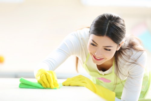 Local carpet cleaning equipment used in a SE11 property
