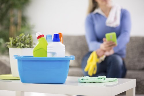 Professional carpet cleaning SE11 removing embedded dirt from fibres