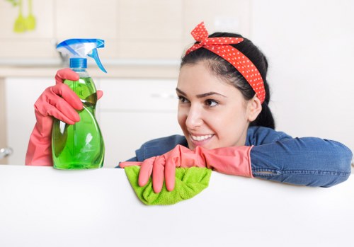 Upholstery cleaner inspecting and treating a sofa in SE11