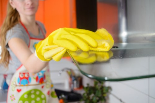 Cleaner preparing a built-in oven for professional degreasing