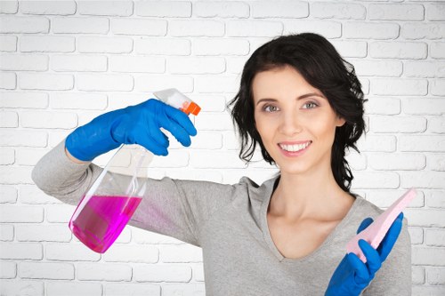 Deep carpet cleaning for a flat in the SE11 area