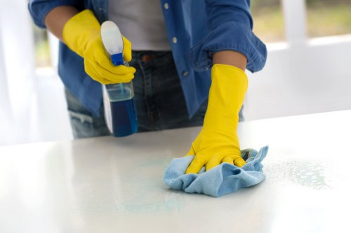 Local carpet cleaner treating high-traffic carpets in SE11